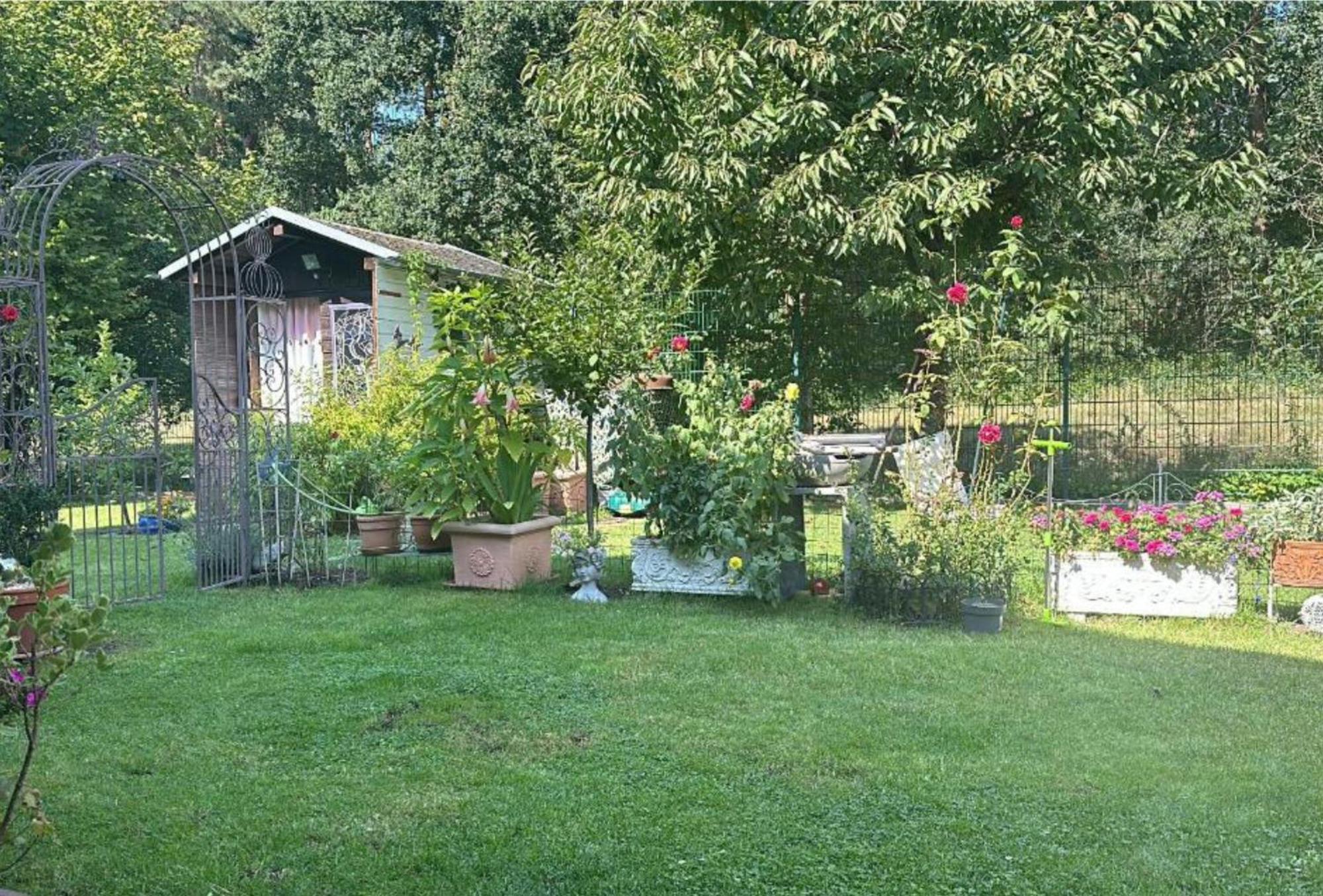 Grosse Helle Wohnung Am Wald In Bad Saarow Nahe Gruenheide Und Berlin Souterrain Екстериор снимка